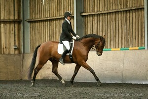 Isis Dressage Crown Farm Show 29th April 2012